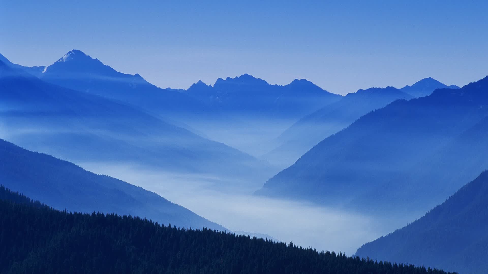 世界体能训练科研奖揭晓:跨学科项目获评为年度亮点,体能训练专业的学校有哪几所