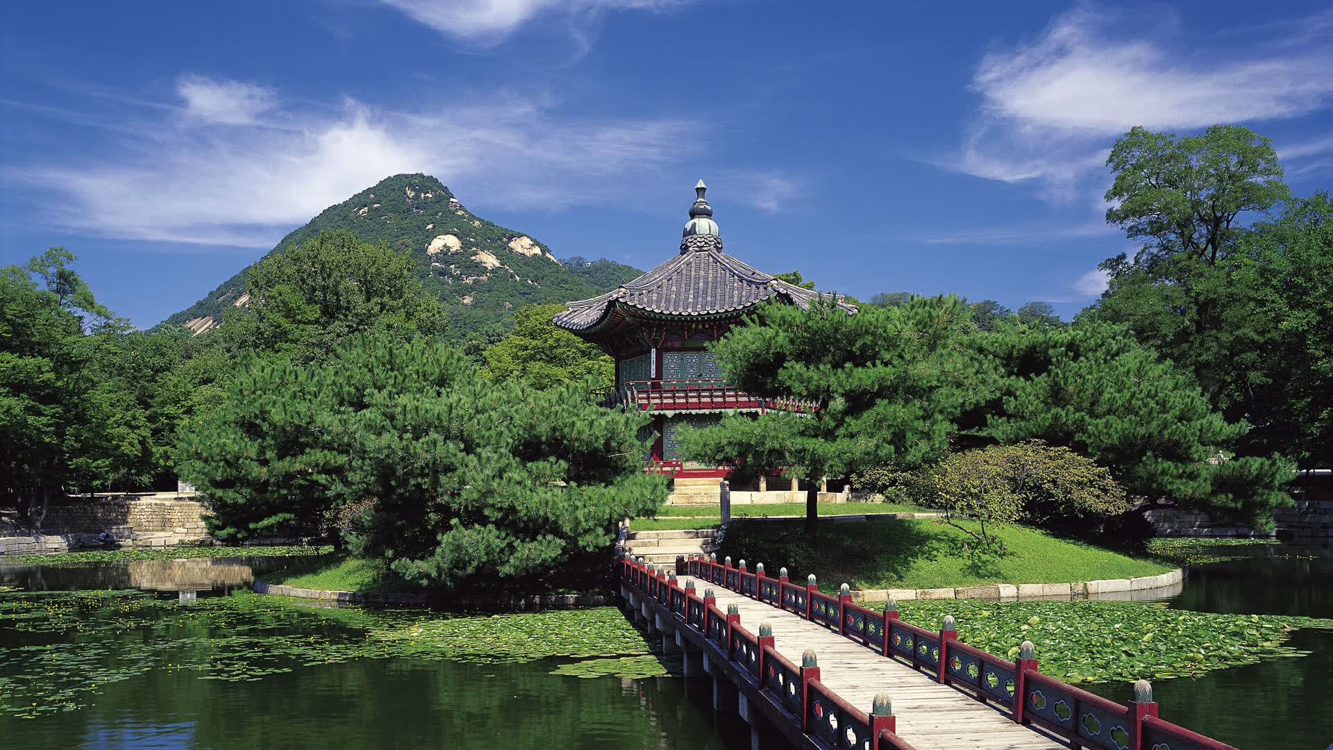 世界羽毛球赛教练组人员构成优化建议,羽毛球队教练组